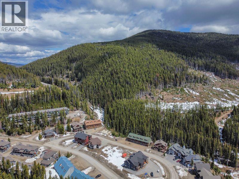 1175 Apex Mountain Road, Apex Mountain, British Columbia  V0H 1K0 - Photo 6 - 10367215