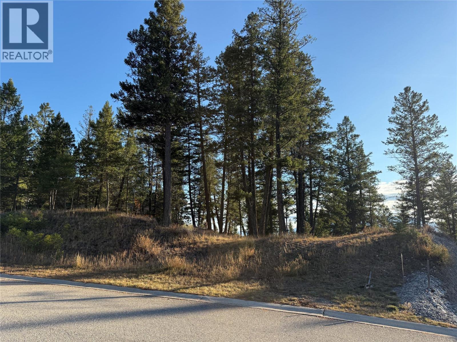 Lot 5 Crooked Tree Place, Fairmont Hot Springs, British Columbia  V0B 1L1 - Photo 11 - 10367205