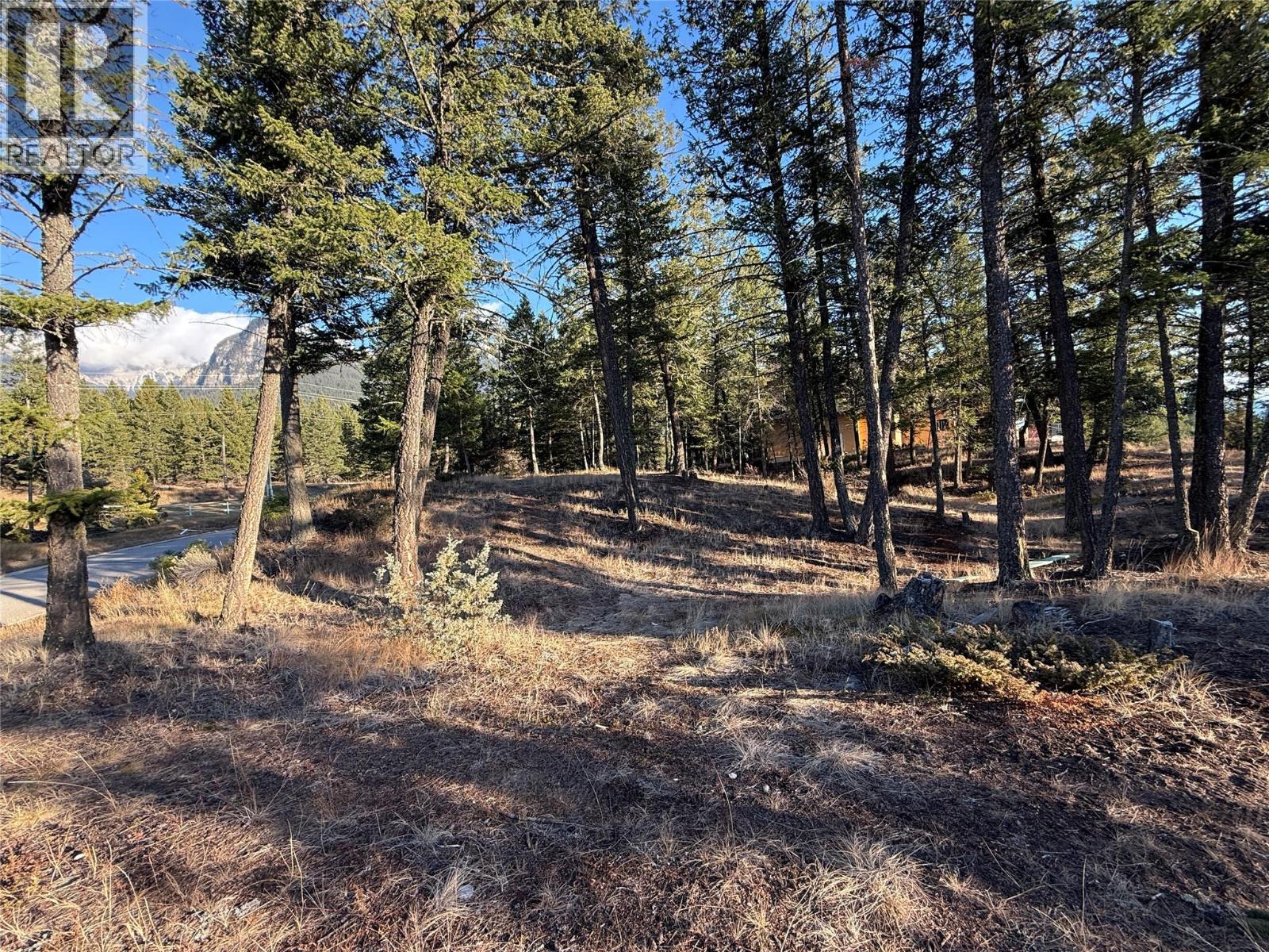 Lot 5 Crooked Tree Place, Fairmont Hot Springs, British Columbia  V0B 1L1 - Photo 9 - 10367205