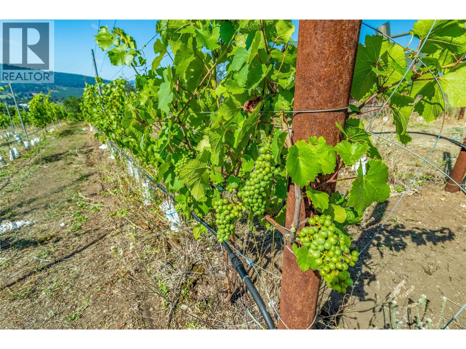 9269 Highway 6, Coldstream, British Columbia  V1B 3B5 - Photo 1 - 10366234