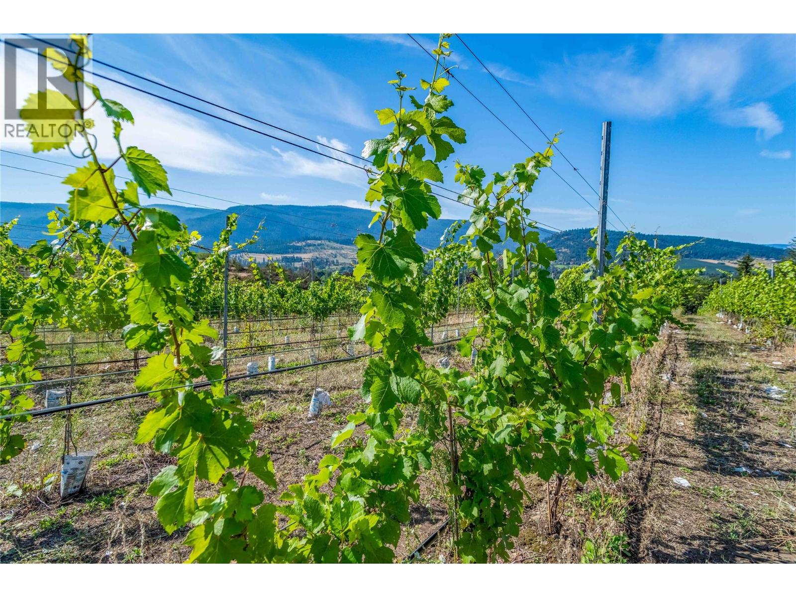 9269 Highway 6, Coldstream, British Columbia  V1B 3B5 - Photo 2 - 10366234