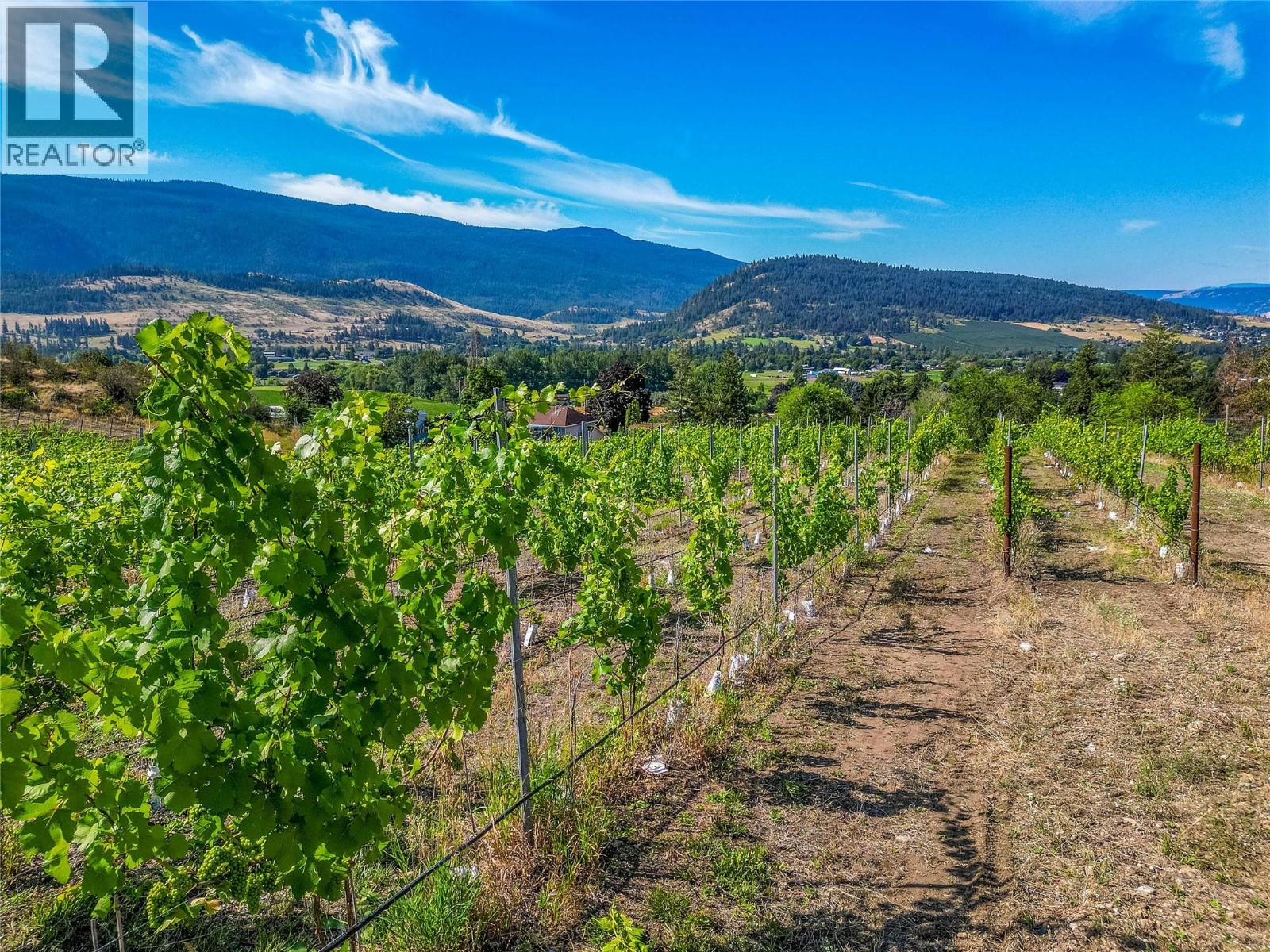 9269 Highway 6, Coldstream, British Columbia  V1B 3B5 - Photo 3 - 10366234