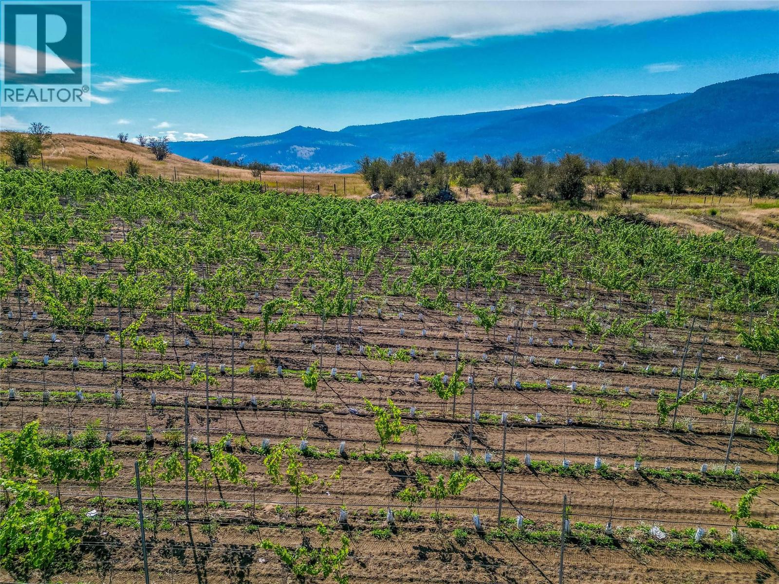 9269 Highway 6, Coldstream, British Columbia  V1B 3B5 - Photo 34 - 10366234