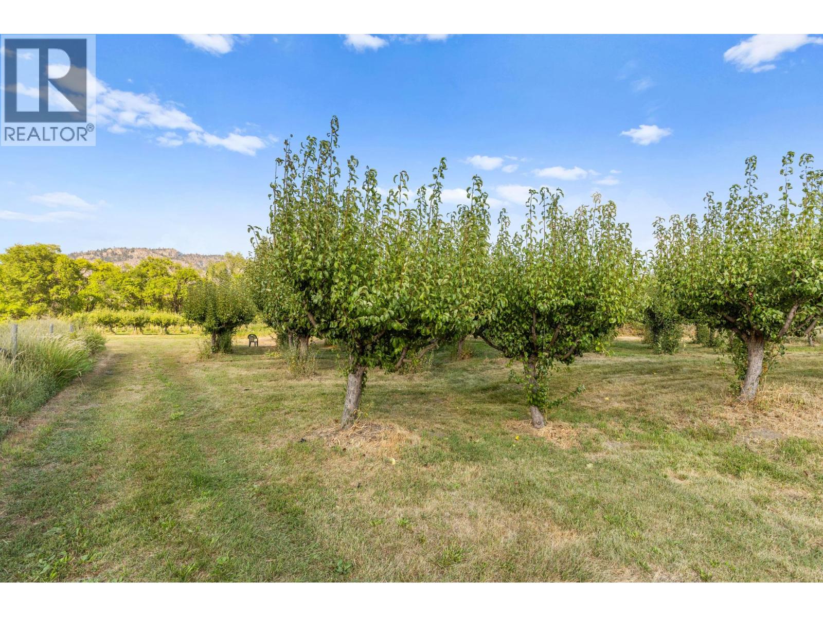 294 Road 18 Road, Oliver, British Columbia  V0H 1T1 - Photo 69 - 10367371