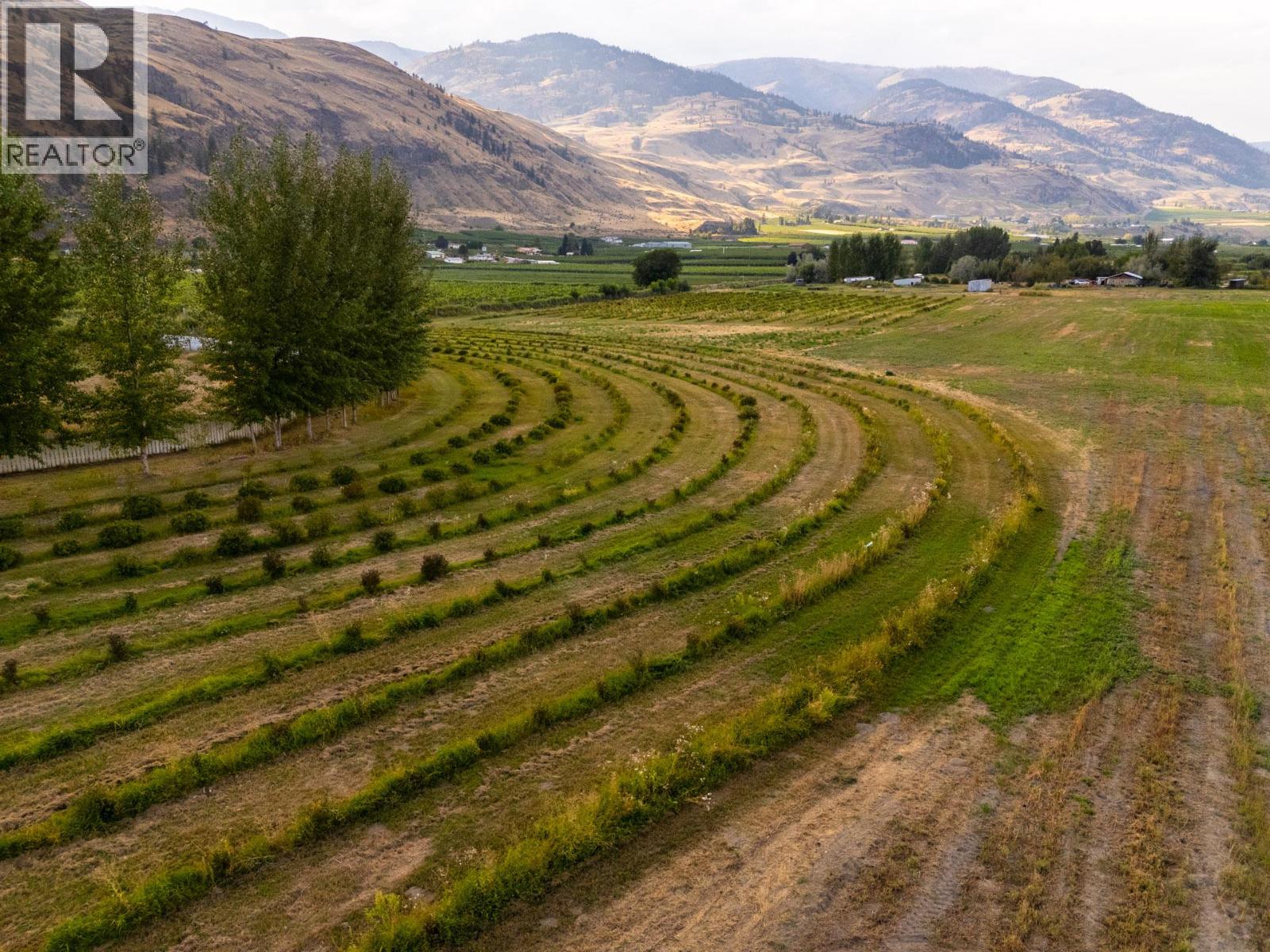 294 Road 18 Road, Oliver, British Columbia  V0H 1T1 - Photo 81 - 10367371