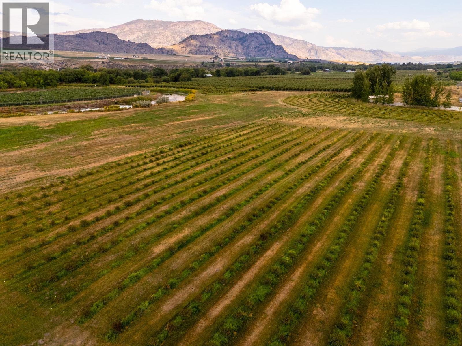 294 Road 18 Road, Oliver, British Columbia  V0H 1T1 - Photo 85 - 10367371