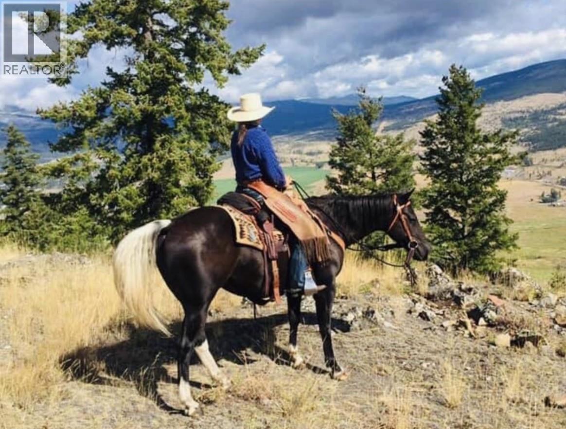 281 Lindley Creek Road, Merritt, British Columbia  V1K 1L4 - Photo 25 - 10367327