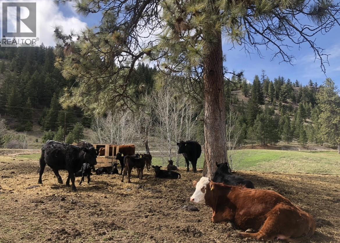 281 Lindley Creek Road, Merritt, British Columbia  V1K 1L4 - Photo 26 - 10367327