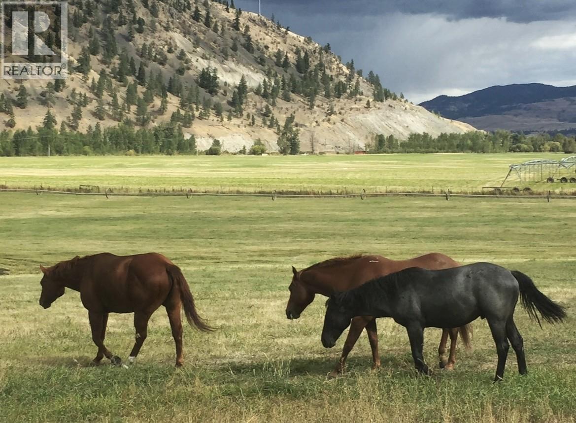 281 Lindley Creek Road, Merritt, British Columbia  V1K 1L4 - Photo 29 - 10367327