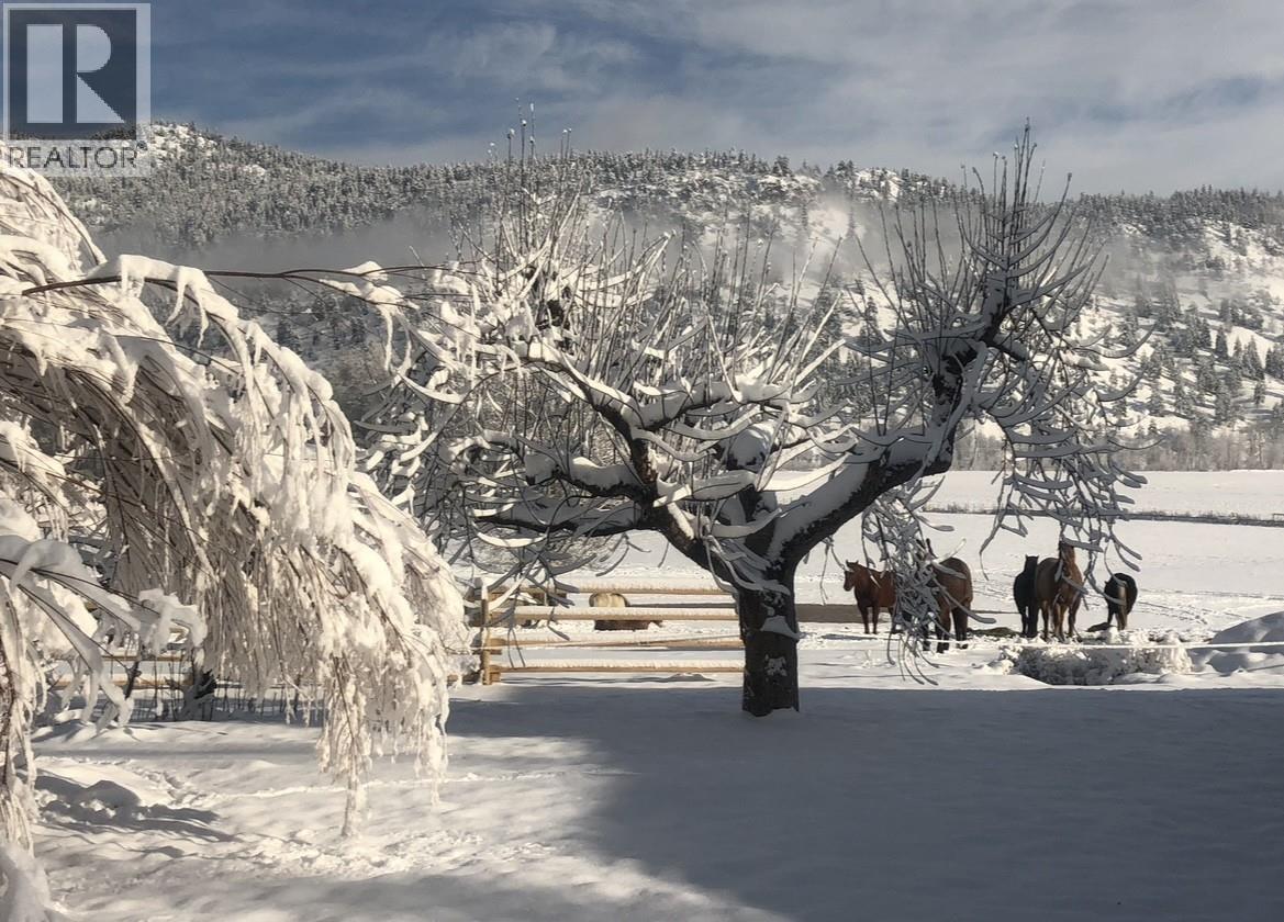 281 Lindley Creek Road, Merritt, British Columbia  V1K 1L4 - Photo 48 - 10367327