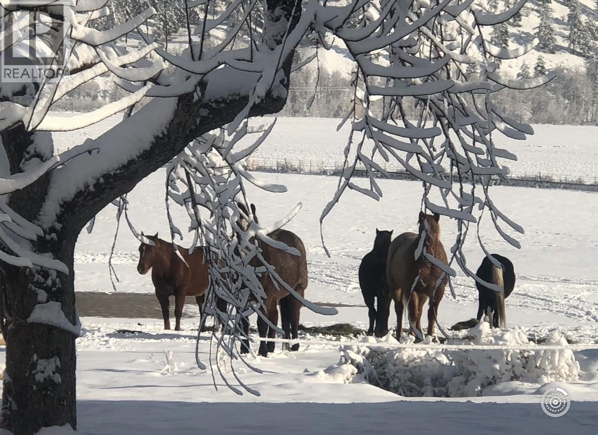 281 Lindley Creek Road, Merritt, British Columbia  V1K 1L4 - Photo 49 - 10367327