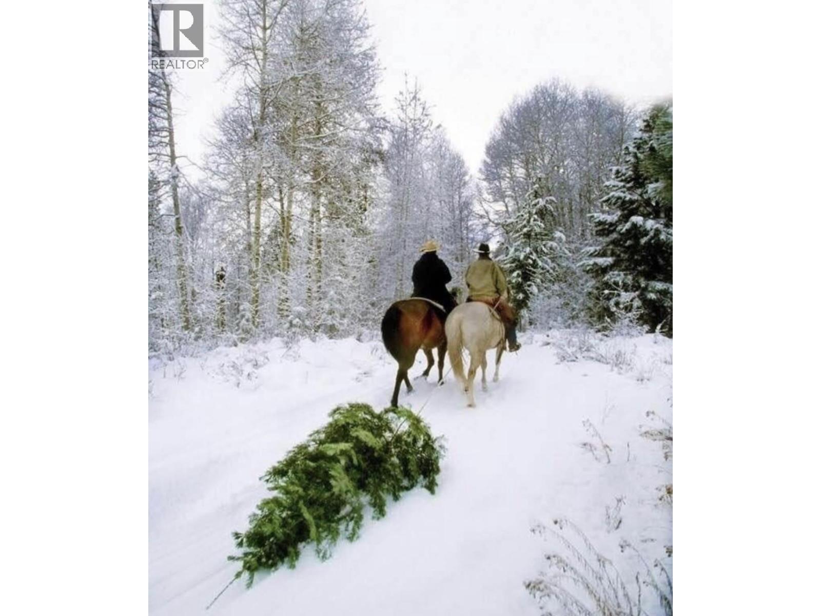 281 Lindley Creek Road, Merritt, British Columbia  V1K 1L4 - Photo 50 - 10367327