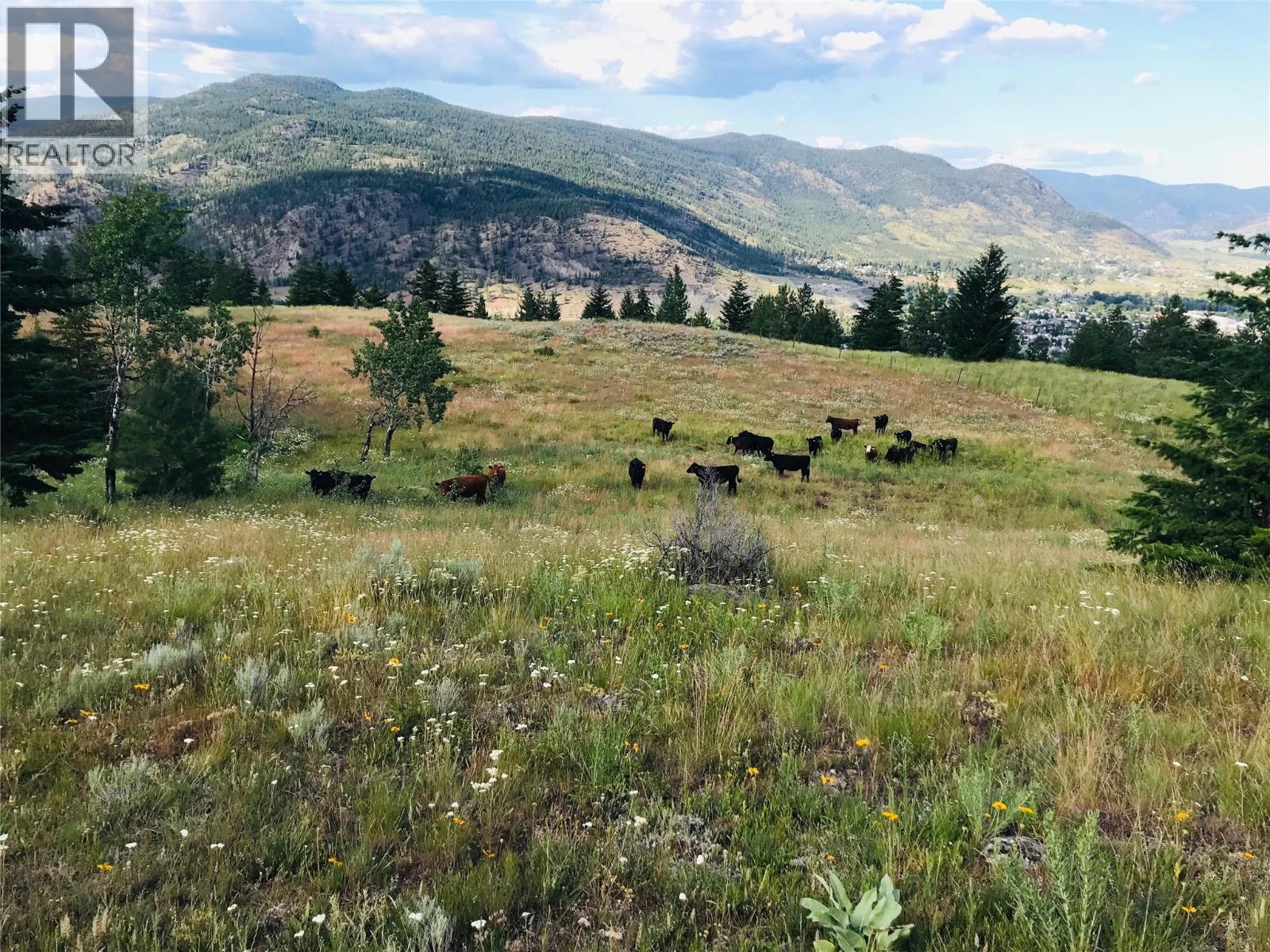 281 Lindley Creek Road, Merritt, British Columbia  V1K 1L4 - Photo 54 - 10367327