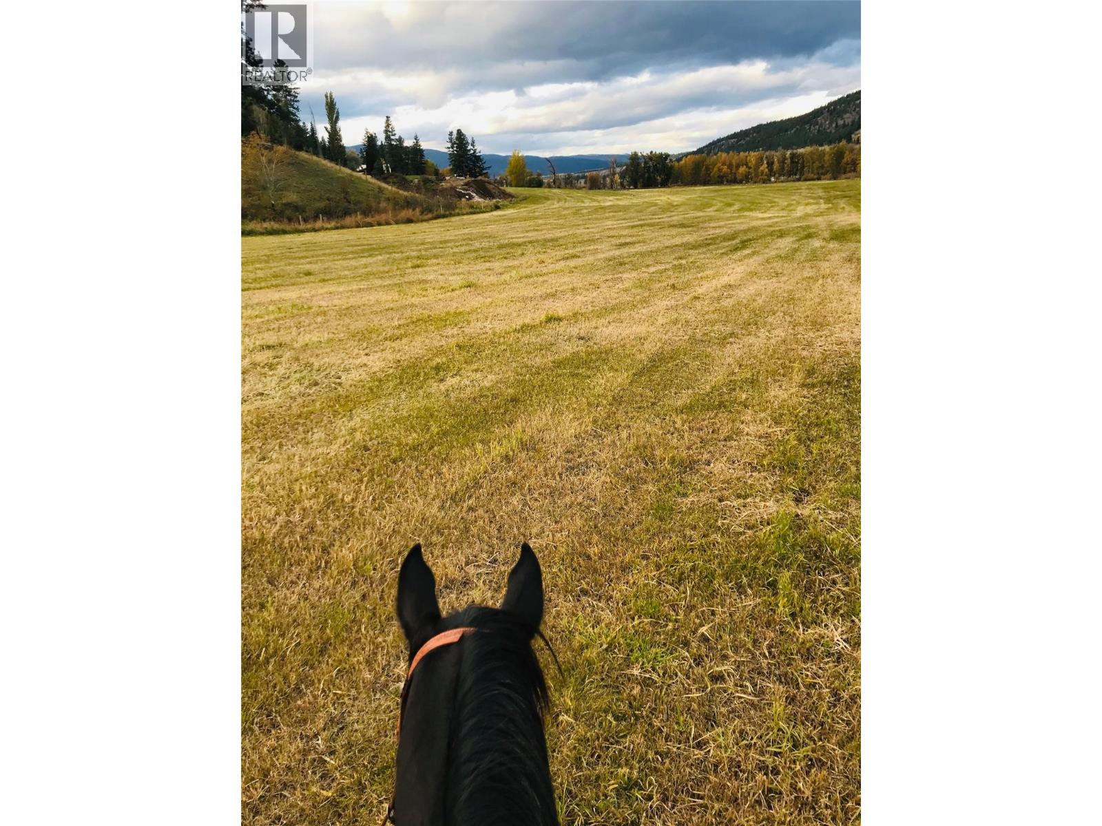 281 Lindley Creek Road, Merritt, British Columbia  V1K 1L4 - Photo 55 - 10367327