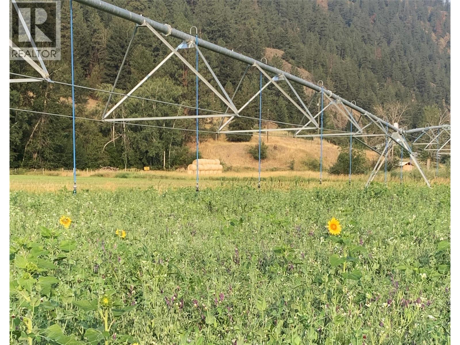 281 Lindley Creek Road, Merritt, British Columbia  V1K 1L4 - Photo 62 - 10367327