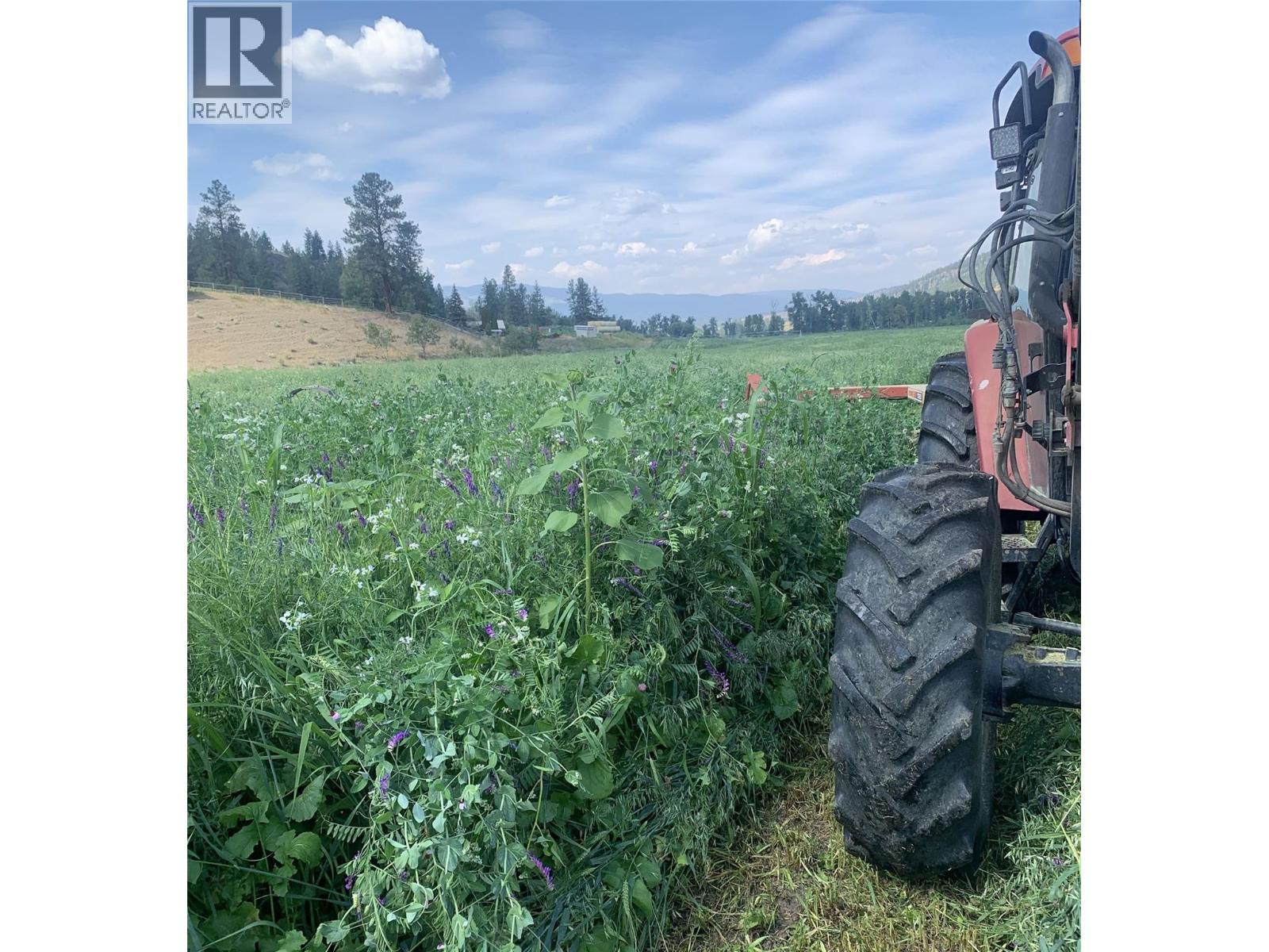 281 Lindley Creek Road, Merritt, British Columbia  V1K 1L4 - Photo 64 - 10367327