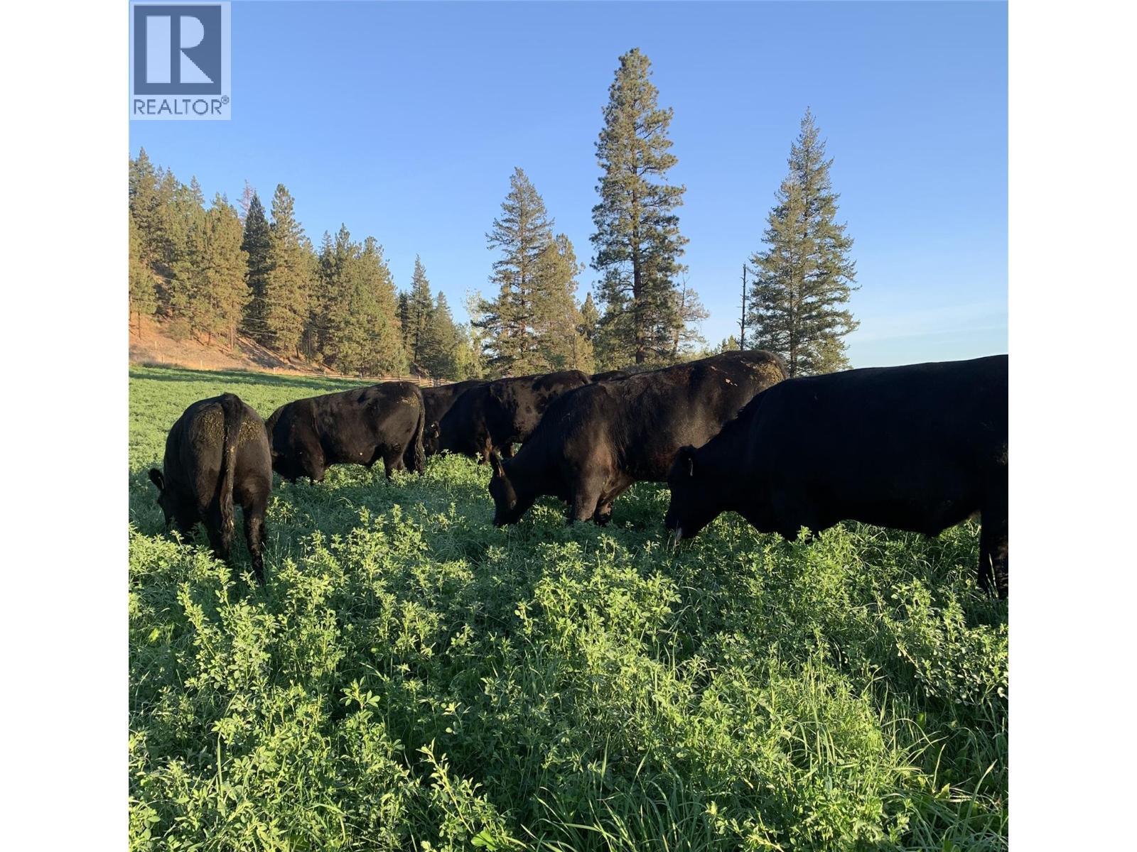 281 Lindley Creek Road, Merritt, British Columbia  V1K 1L4 - Photo 65 - 10367327