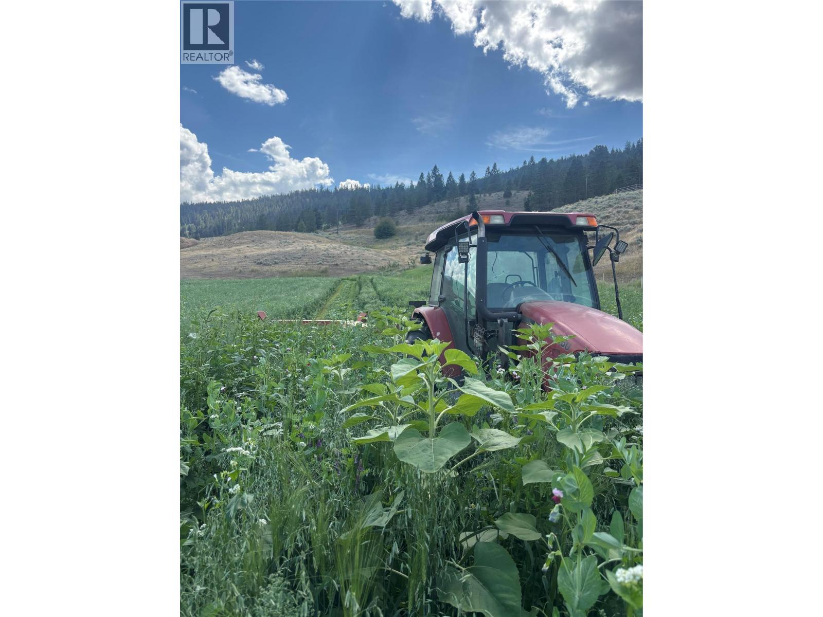 281 Lindley Creek Road, Merritt, British Columbia  V1K 1L4 - Photo 67 - 10367327