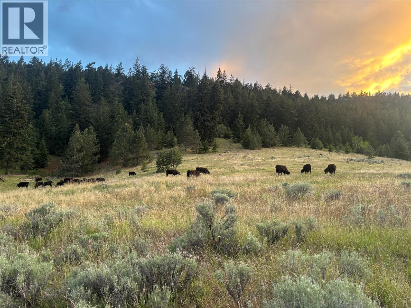 281 Lindley Creek Road, Merritt, British Columbia  V1K 1L4 - Photo 70 - 10367327