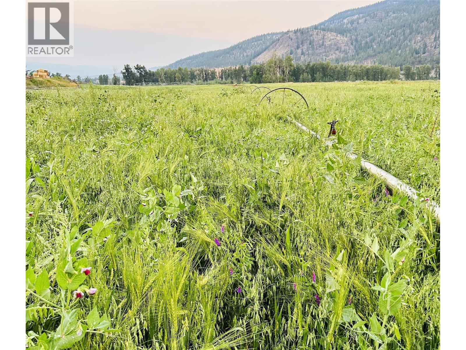 281 Lindley Creek Road, Merritt, British Columbia  V1K 1L4 - Photo 71 - 10367327