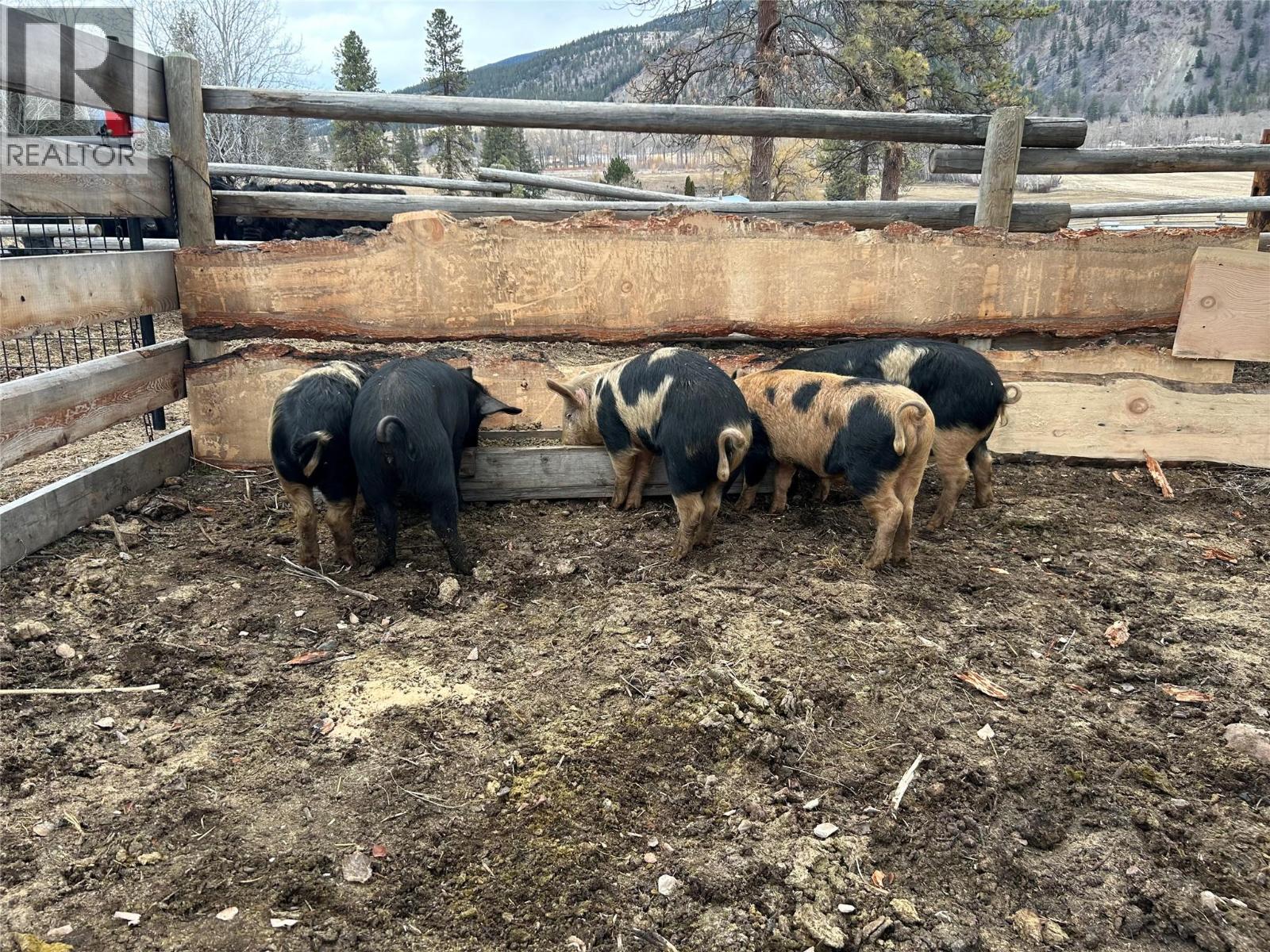 281 Lindley Creek Road, Merritt, British Columbia  V1K 1L4 - Photo 73 - 10367327