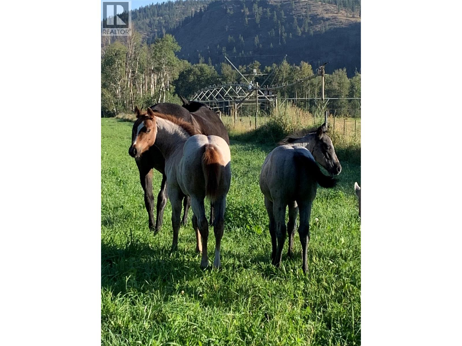 281 Lindley Creek Road, Merritt, British Columbia  V1K 1L4 - Photo 77 - 10367327