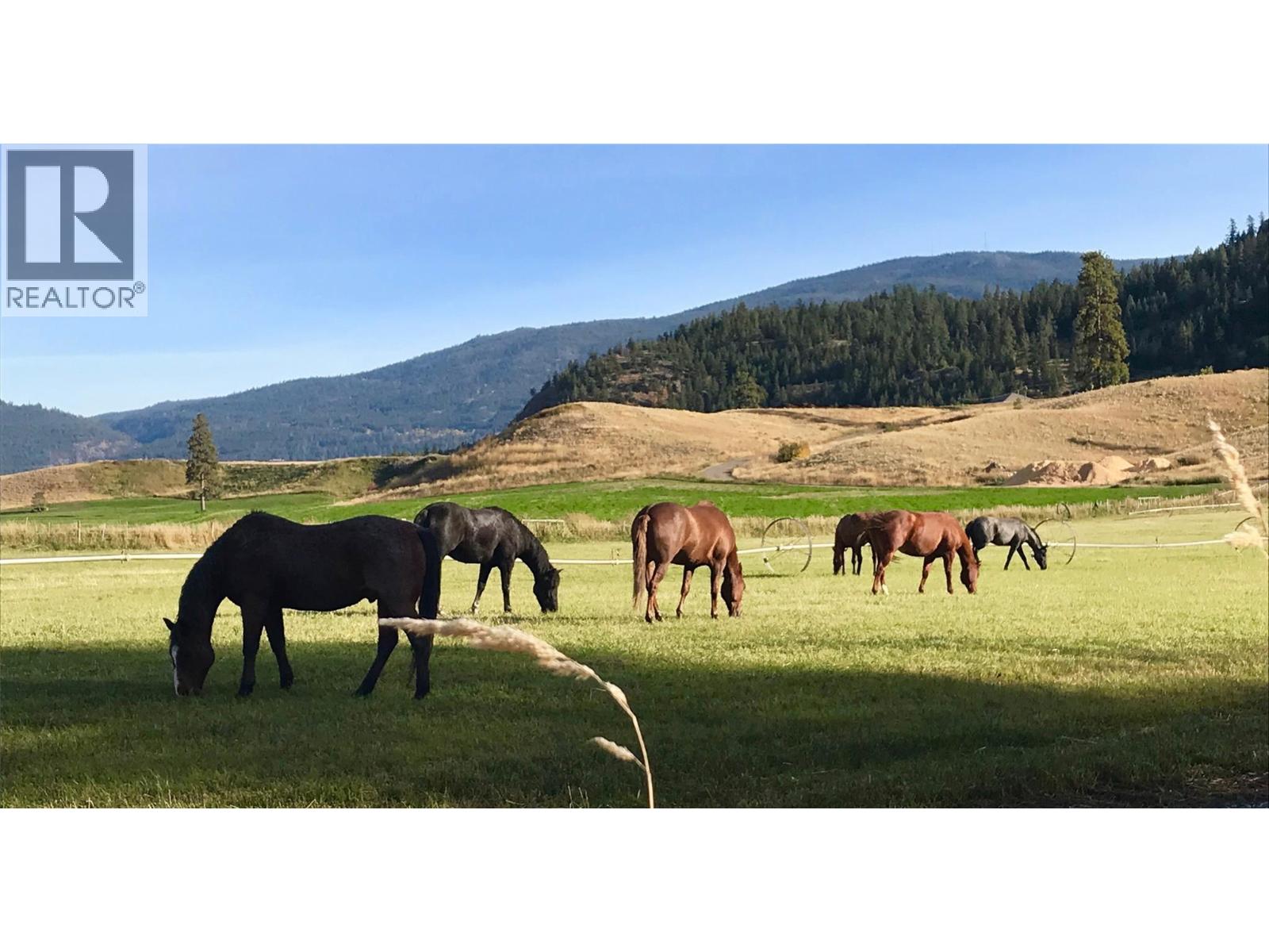 281 Lindley Creek Road, Merritt, British Columbia  V1K 1L4 - Photo 78 - 10367327