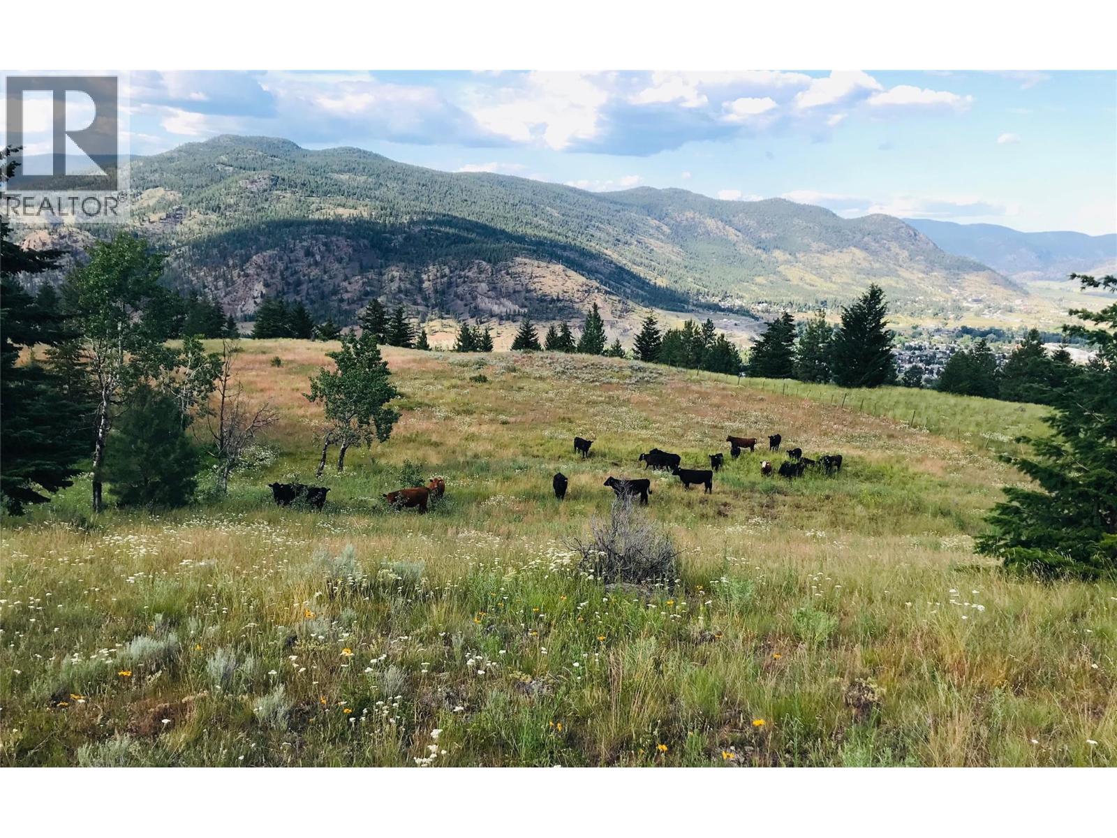 281 Lindley Creek Road, Merritt, British Columbia  V1K 1L4 - Photo 79 - 10367327