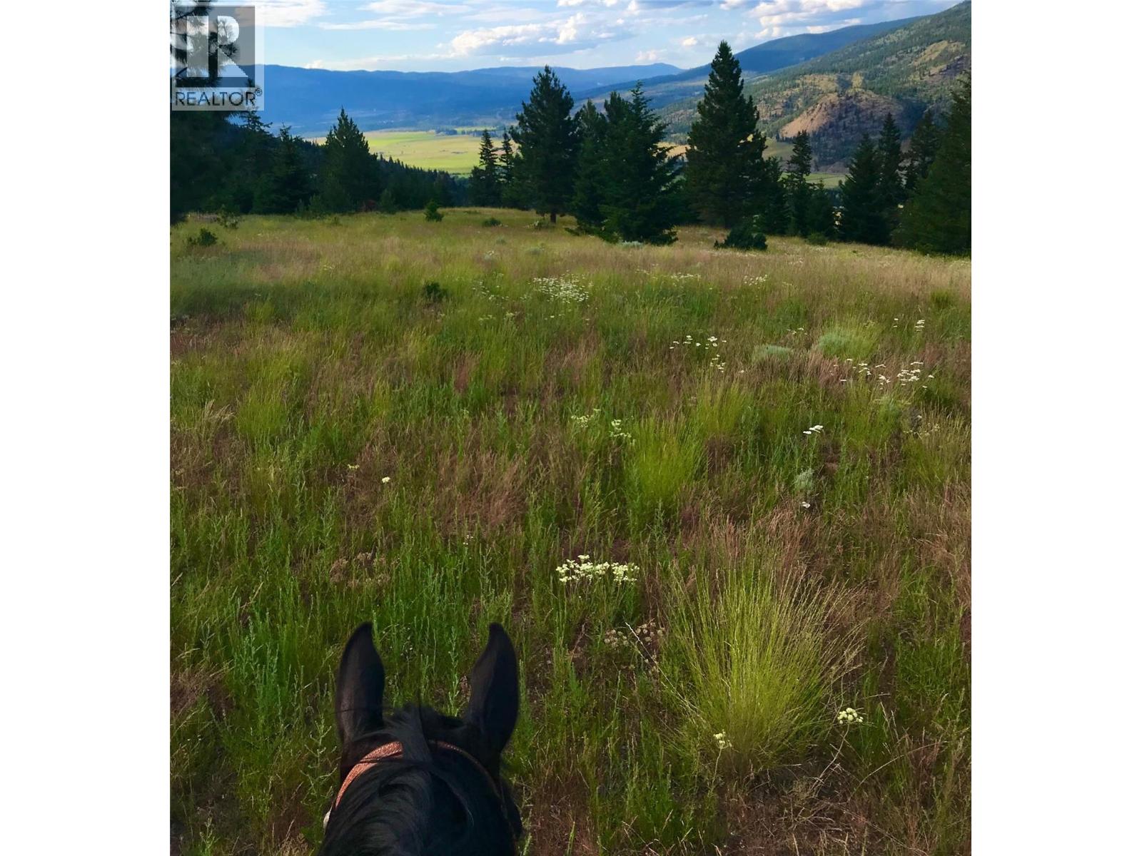 281 Lindley Creek Road, Merritt, British Columbia  V1K 1L4 - Photo 80 - 10367327