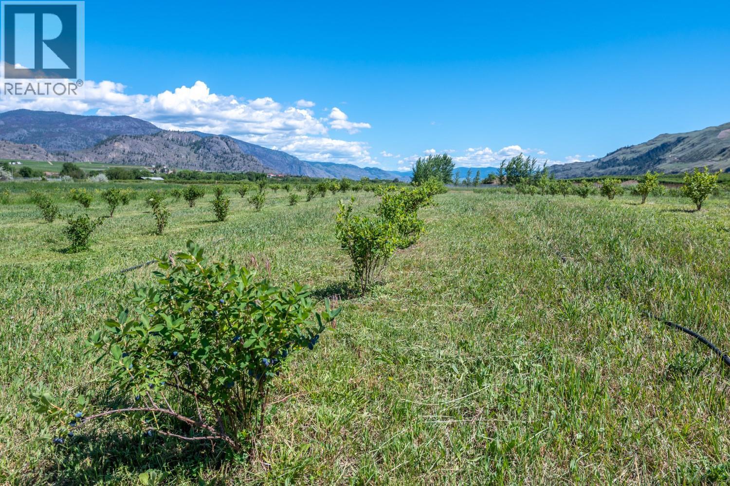 294 Road 18 Road, Oliver, British Columbia  V0H 1T1 - Photo 30 - 10367463