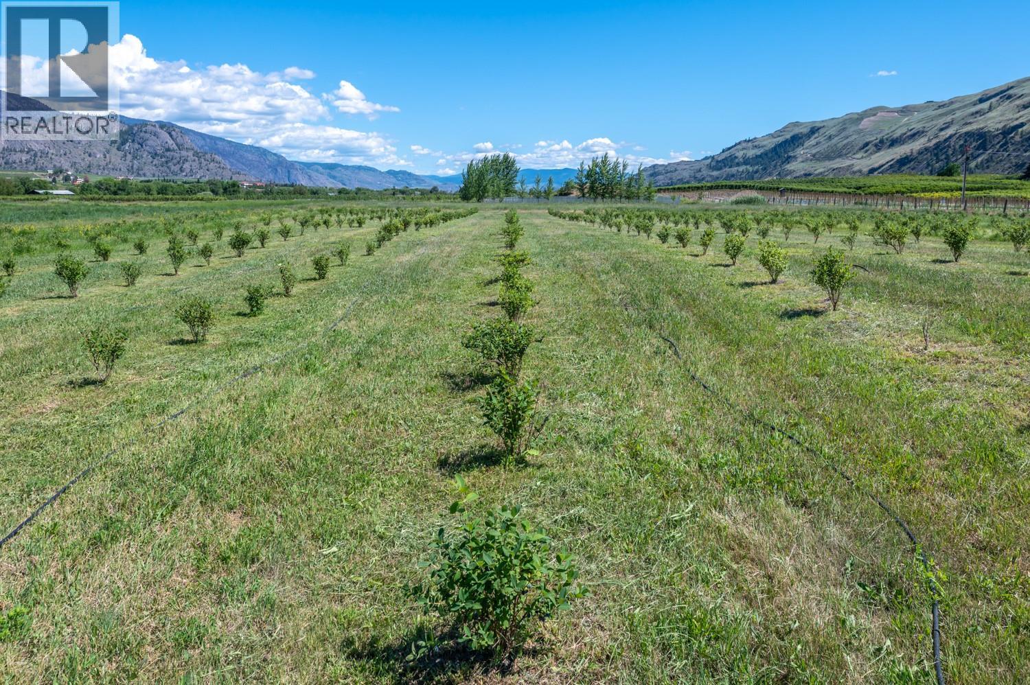 294 Road 18 Road, Oliver, British Columbia  V0H 1T1 - Photo 32 - 10367463