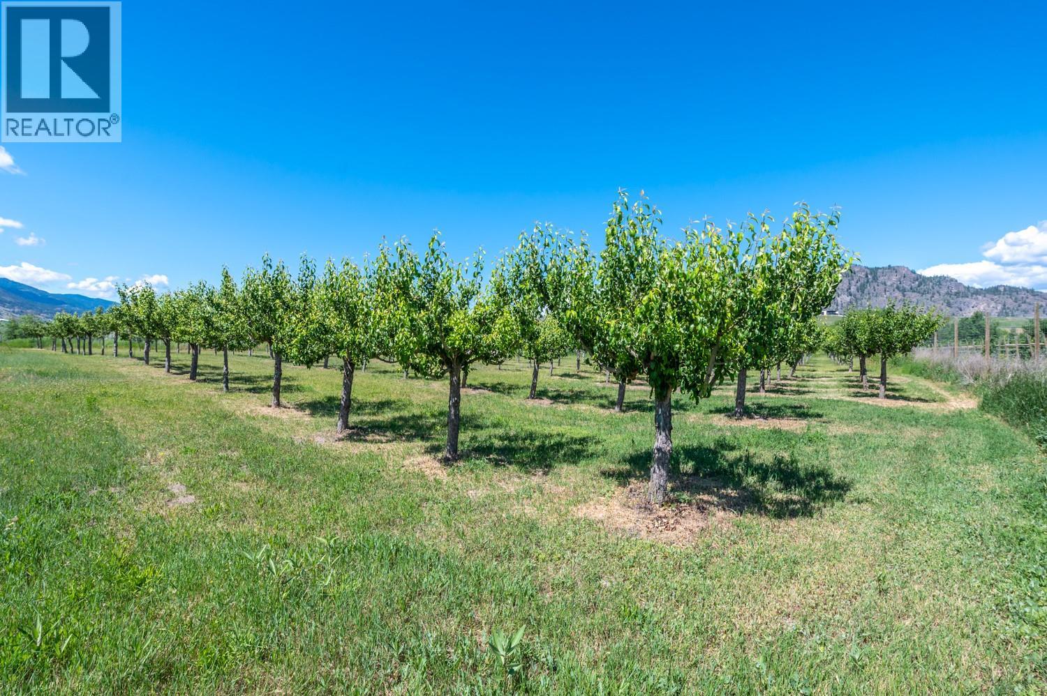 294 Road 18 Road, Oliver, British Columbia  V0H 1T1 - Photo 34 - 10367463