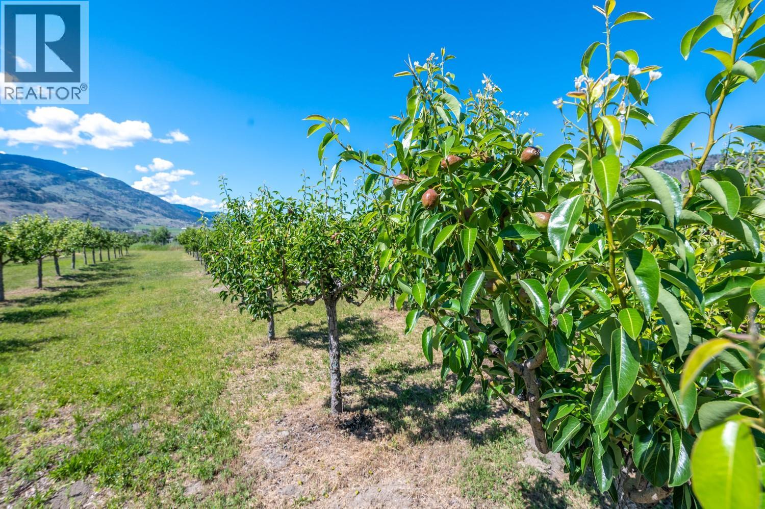 294 Road 18 Road, Oliver, British Columbia  V0H 1T1 - Photo 35 - 10367463