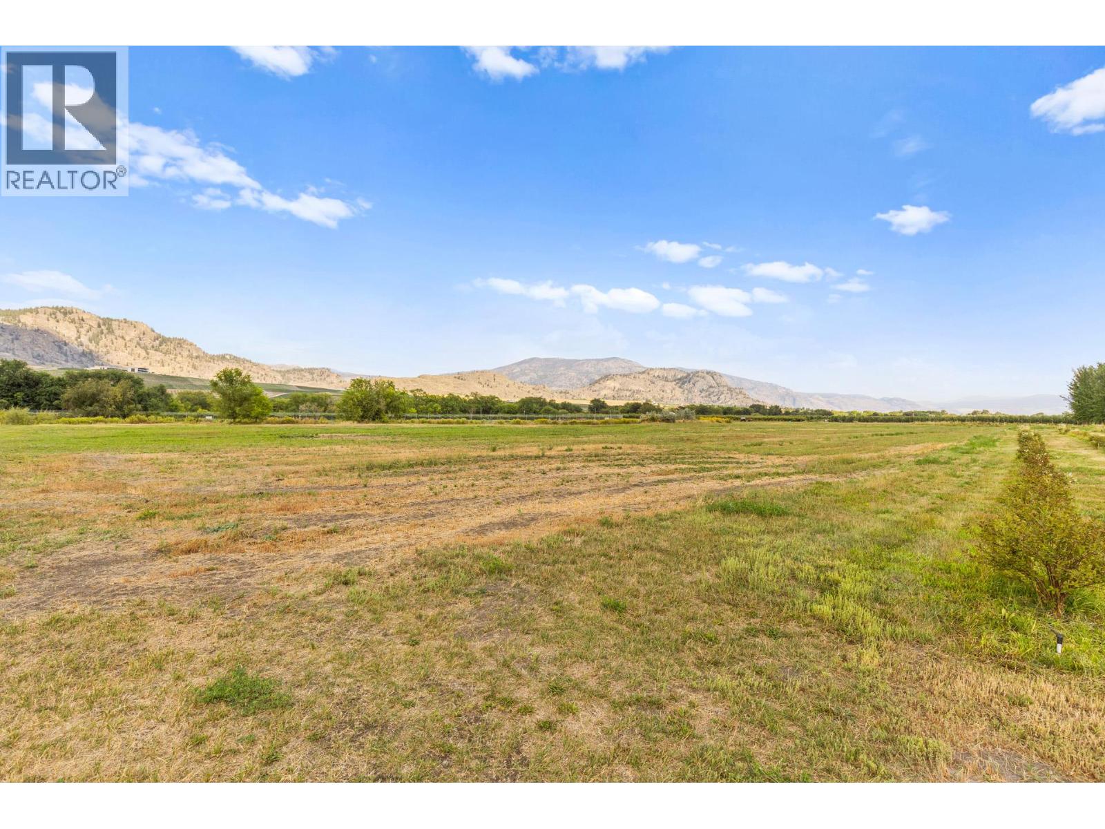 294 Road 18 Road, Oliver, British Columbia  V0H 1T1 - Photo 52 - 10367463