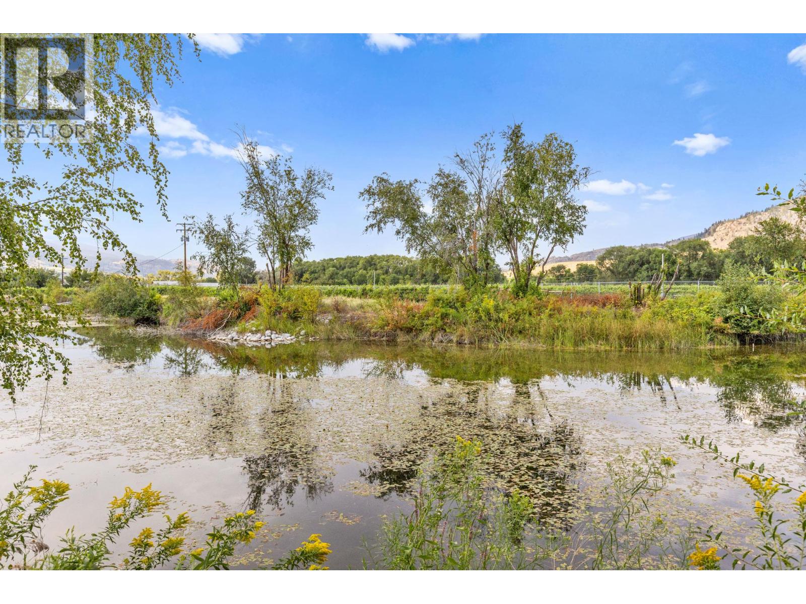 294 Road 18 Road, Oliver, British Columbia  V0H 1T1 - Photo 54 - 10367463