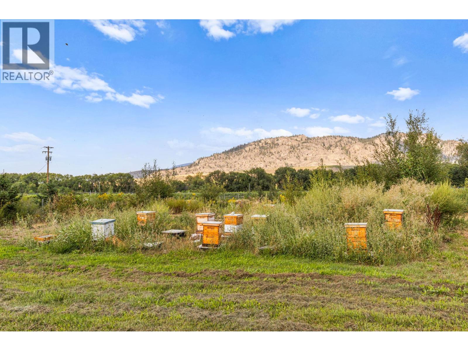 294 Road 18 Road, Oliver, British Columbia  V0H 1T1 - Photo 59 - 10367463