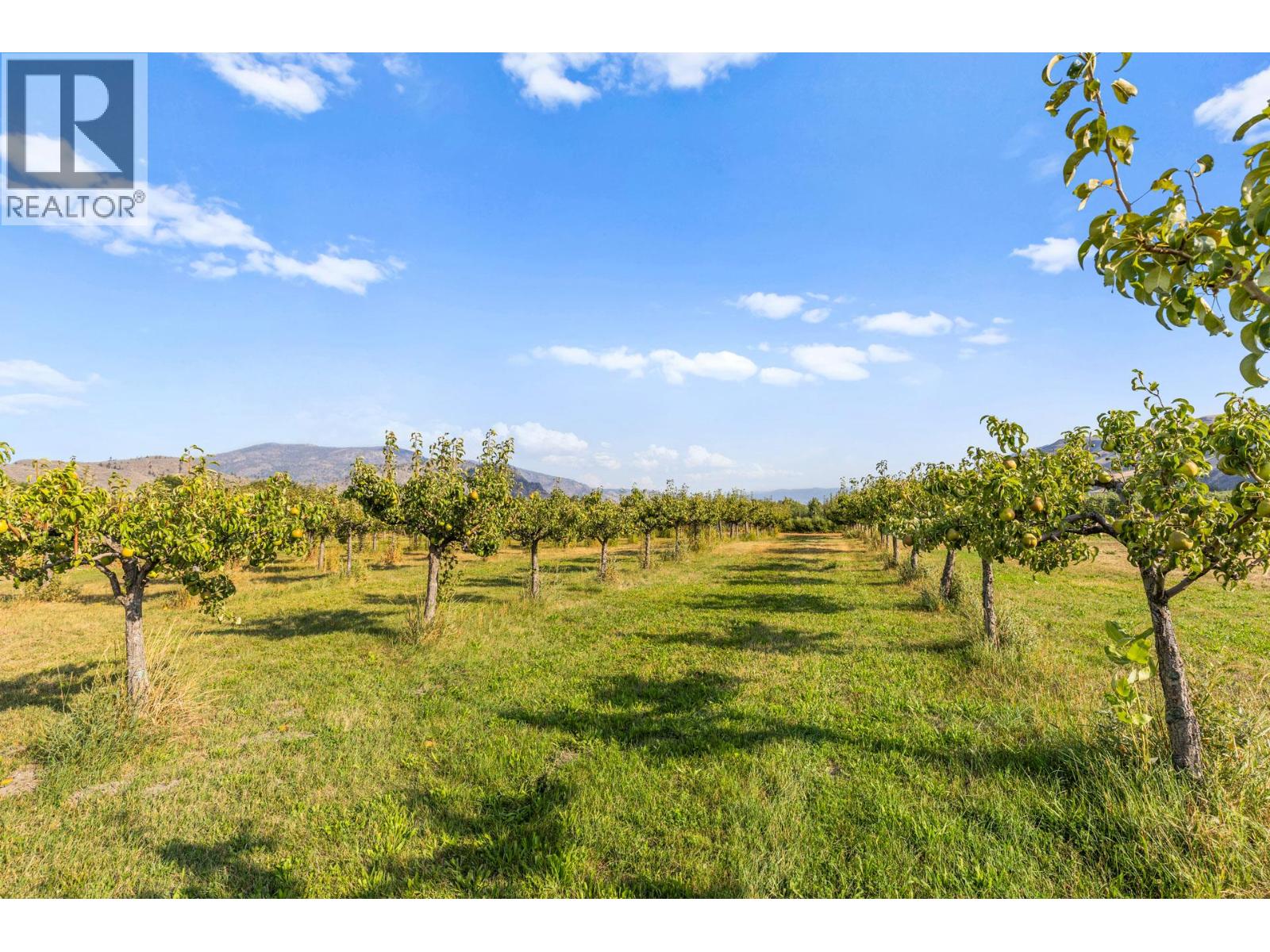 294 Road 18 Road, Oliver, British Columbia  V0H 1T1 - Photo 67 - 10367463