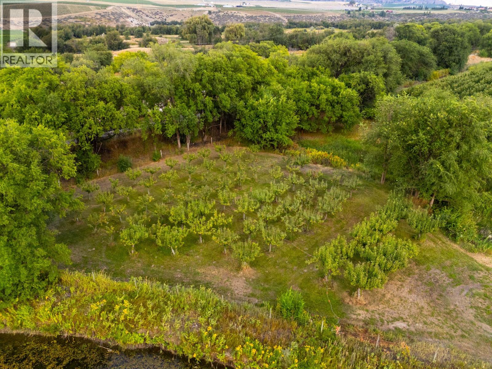 294 Road 18 Road, Oliver, British Columbia  V0H 1T1 - Photo 78 - 10367463