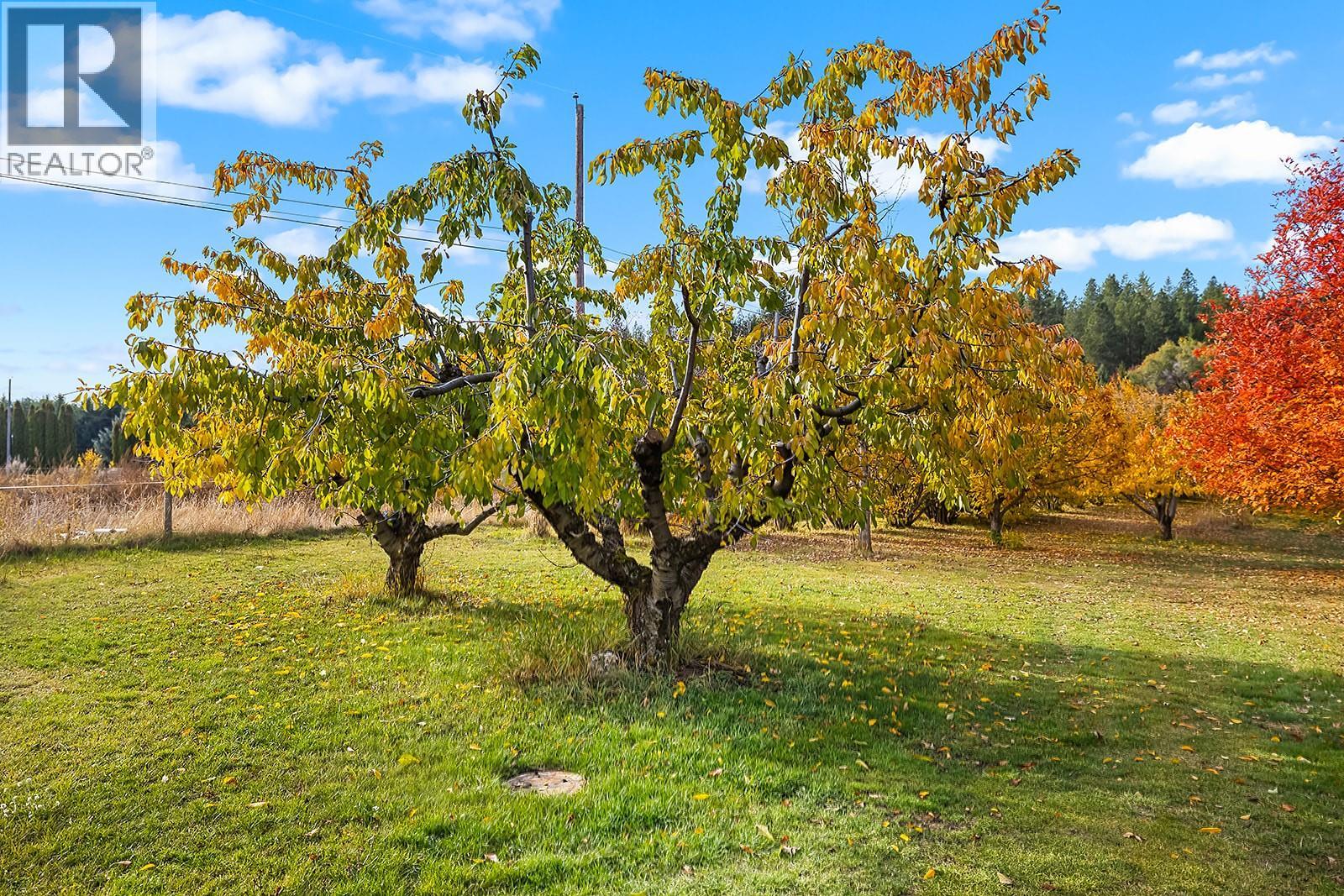 911 32nd Avenue S, Erickson, British Columbia  V0B 1G1 - Photo 37 - 10367553
