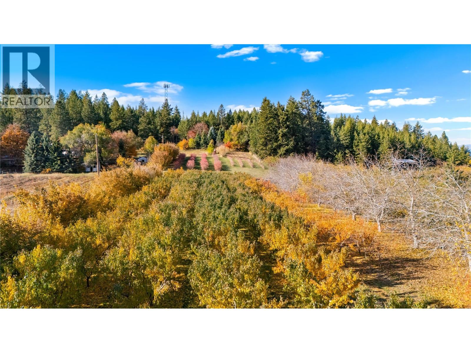 911 32nd Avenue S, Erickson, British Columbia  V0B 1G1 - Photo 2 - 10367540