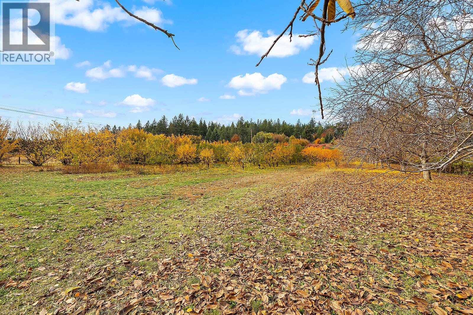 911 32nd Avenue S, Erickson, British Columbia  V0B 1G1 - Photo 31 - 10367540