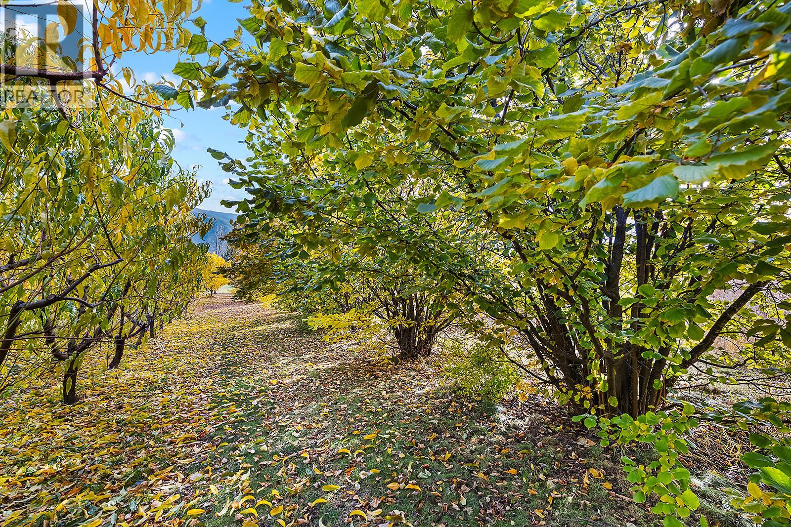 911 32nd Avenue S, Erickson, British Columbia  V0B 1G1 - Photo 32 - 10367540