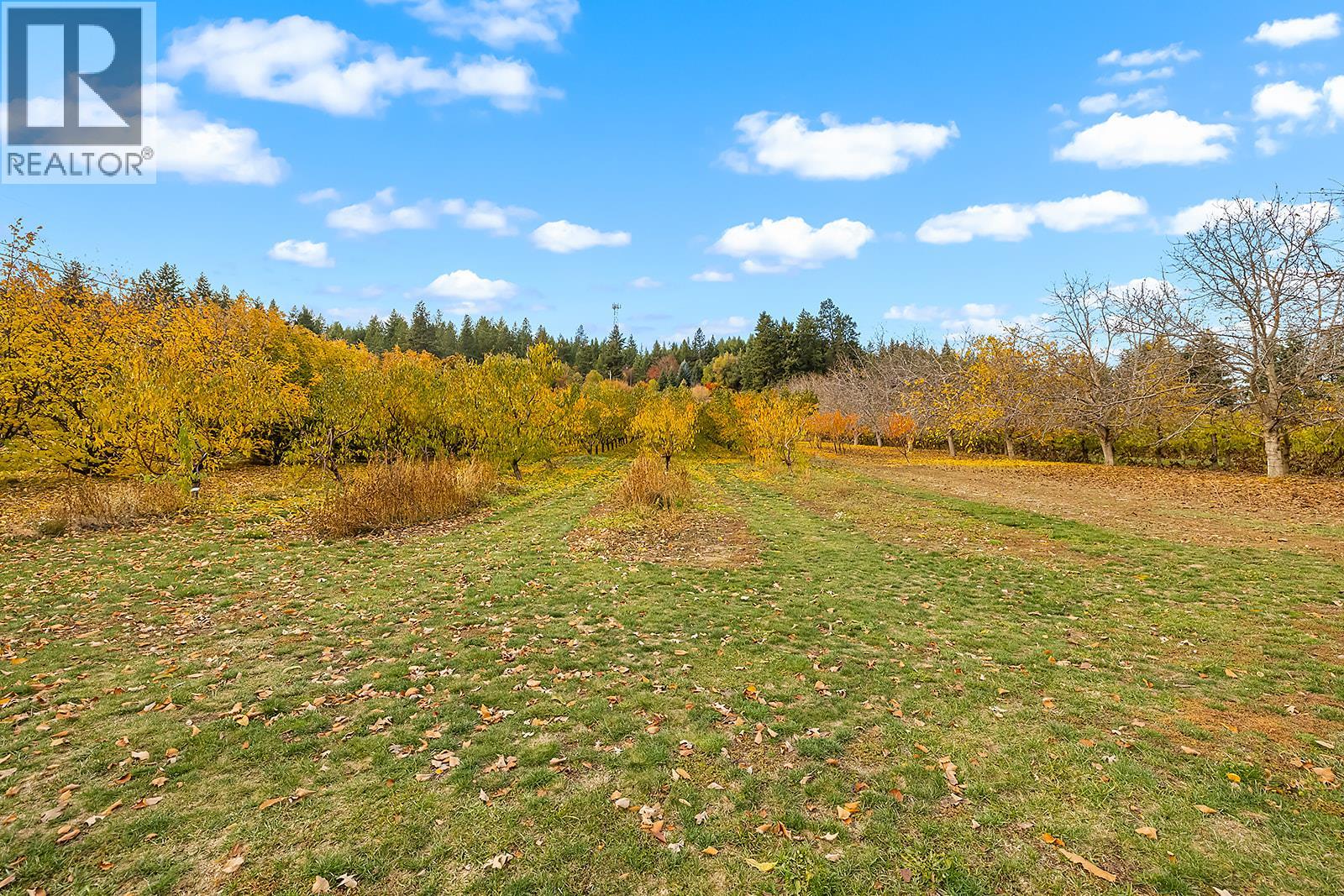 911 32nd Avenue S, Erickson, British Columbia  V0B 1G1 - Photo 7 - 10367540