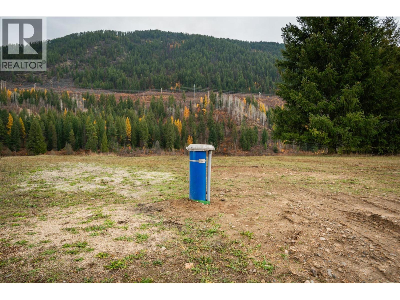 2538 Alexis Road, Shoreacres, British Columbia  V1N 4P6 - Photo 45 - 10367619