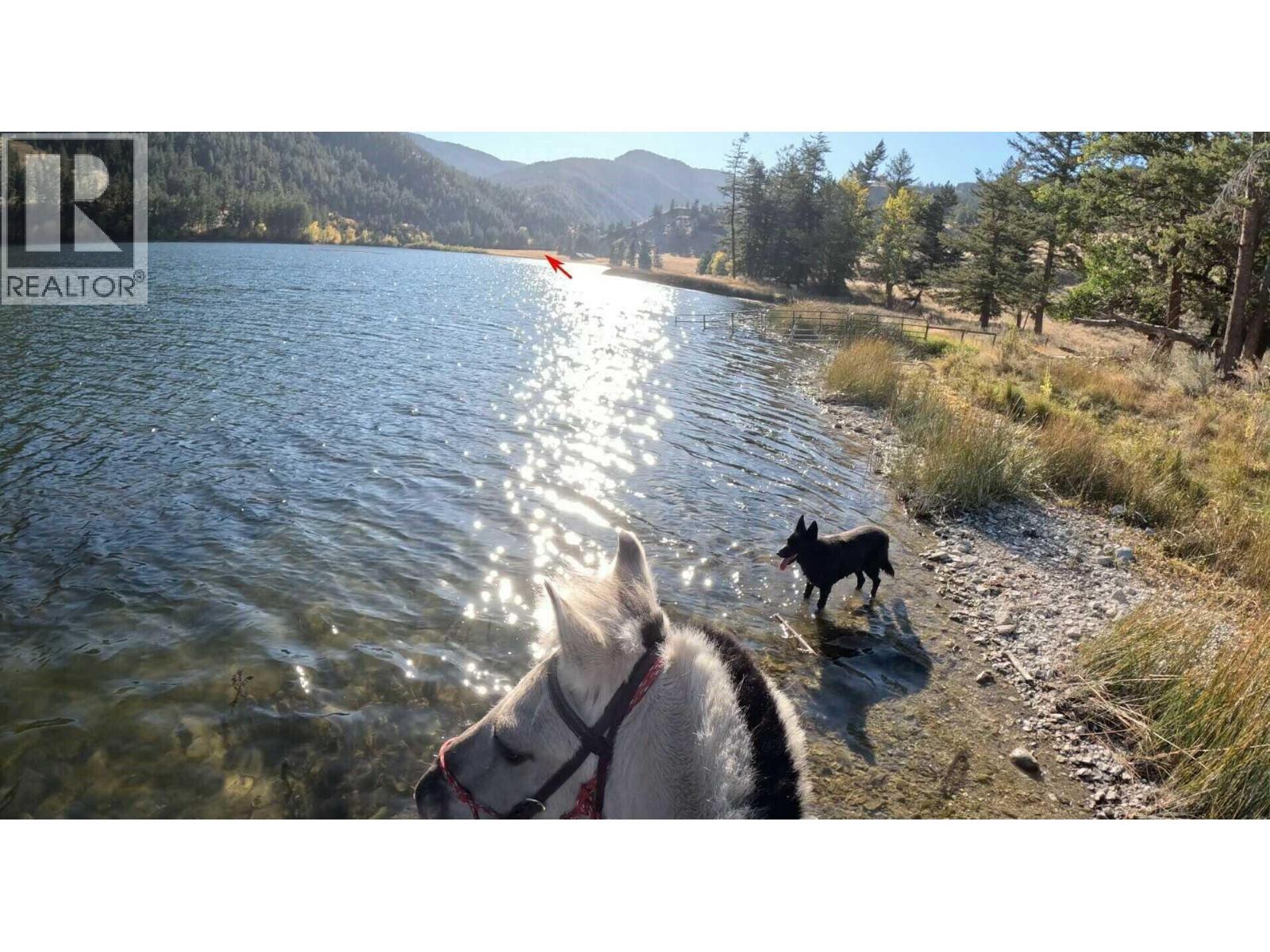 1618 White Lake Road, Kaleden, British Columbia  V0X 1N6 - Photo 19 - 10368751