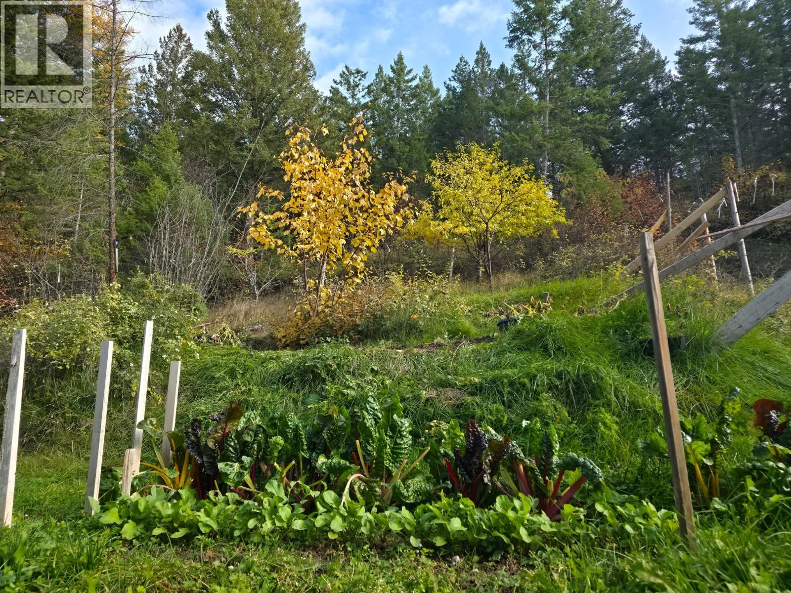 3650 Phillips Road, Creston, British Columbia  V0B 1G2 - Photo 5 - 10367489