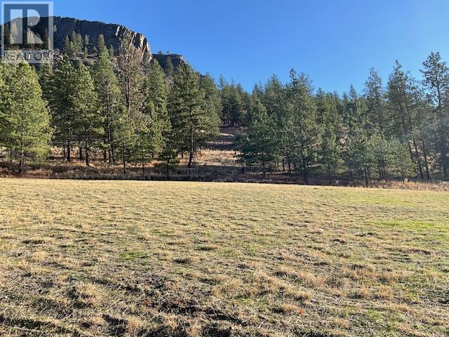 21825 Garnet Valley Road, Summerland, British Columbia  V0H 1Z3 - Photo 27 - 10368827