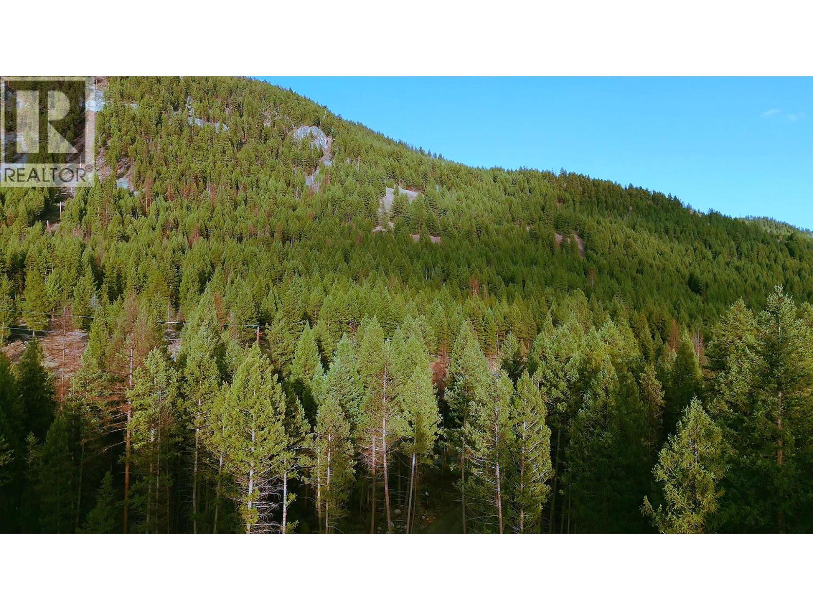 55 Beacon Road, Carmi, British Columbia  V0H 1A0 - Photo 16 - 10368831