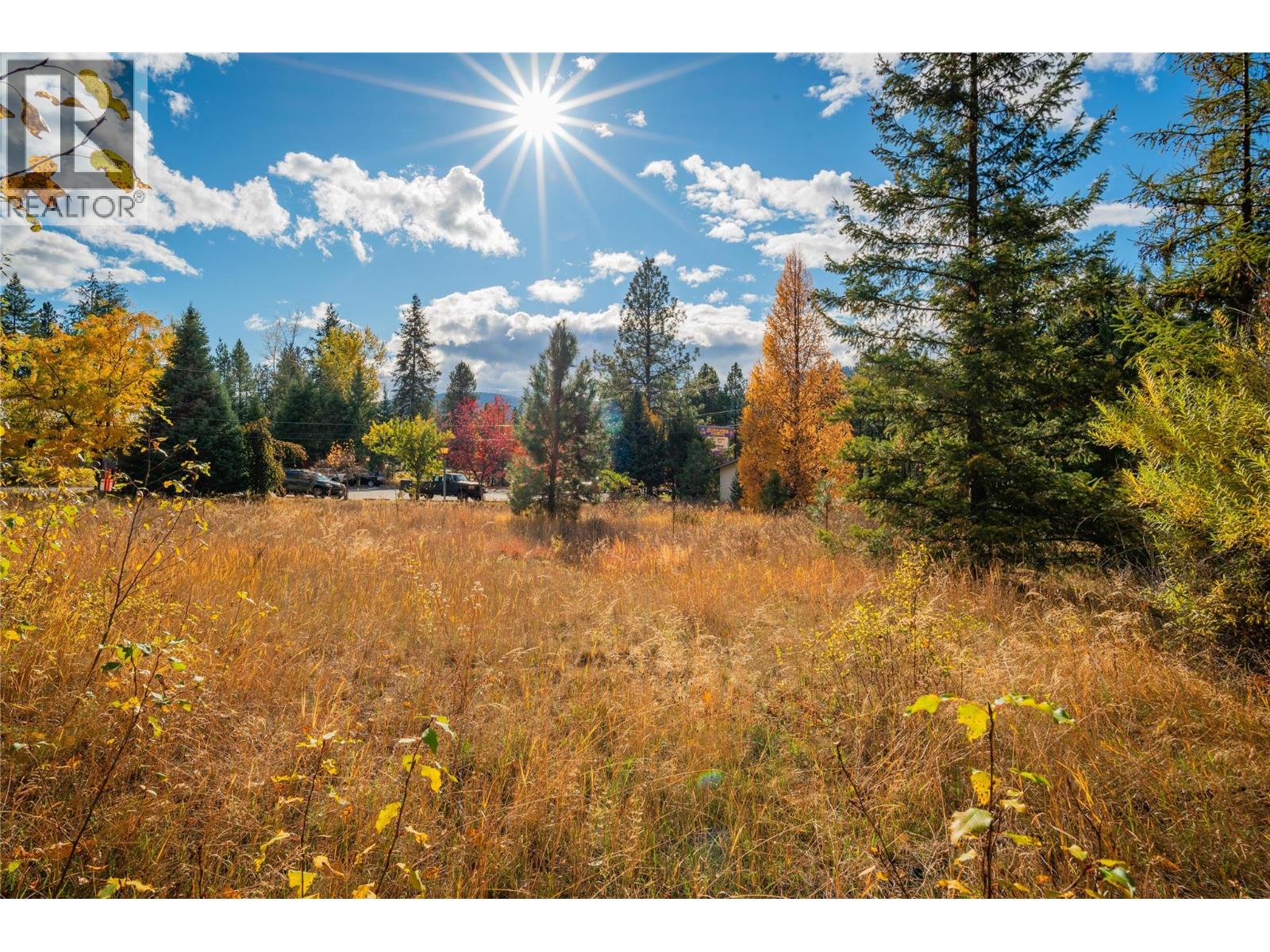 Lot 4 Sandner Frontage Road, Christina Lake, British Columbia  V0N 1E0 - Photo 19 - 10368825