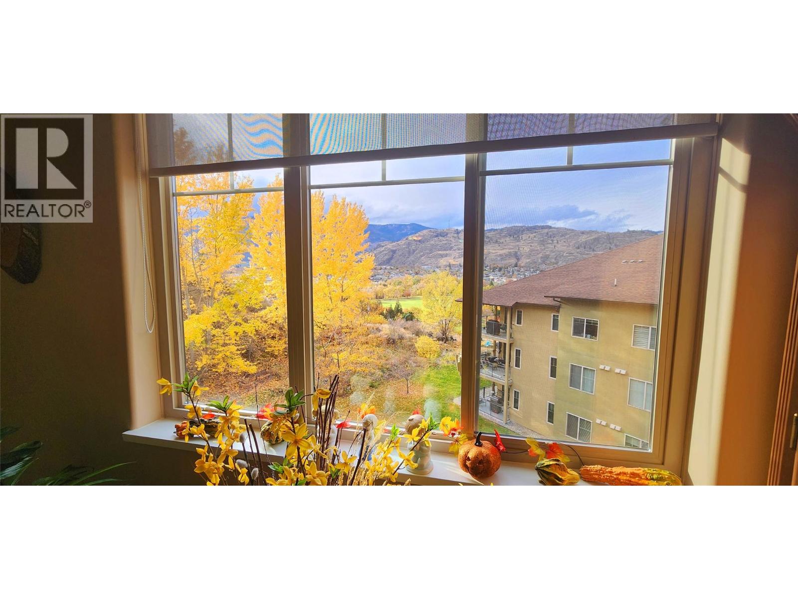 921 Spillway Road Unit# 306b, Oliver, British Columbia  V0H 1T8 - Photo 11 - 10368853